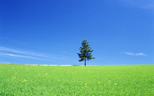 449633 (a): :1920x1200